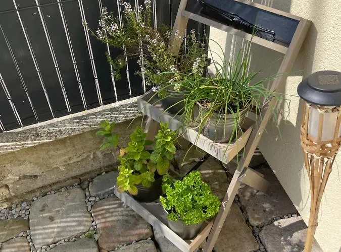 Vakantiehuis Agreable Maison 3* En Bord De Dieppe